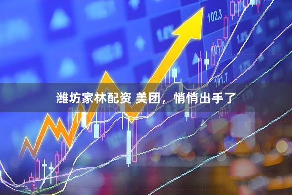 潍坊家林配资 美团，悄悄出手了