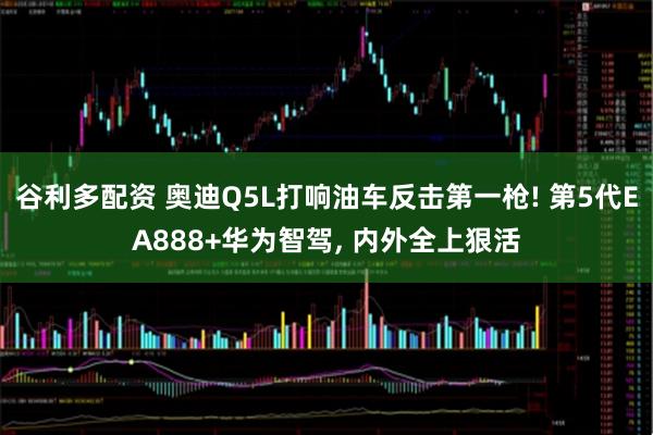谷利多配资 奥迪Q5L打响油车反击第一枪! 第5代EA888+华为智驾, 内外全上狠活